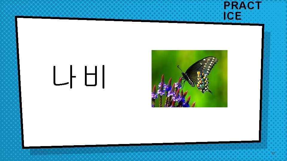 PRACT ICE 나비 17 