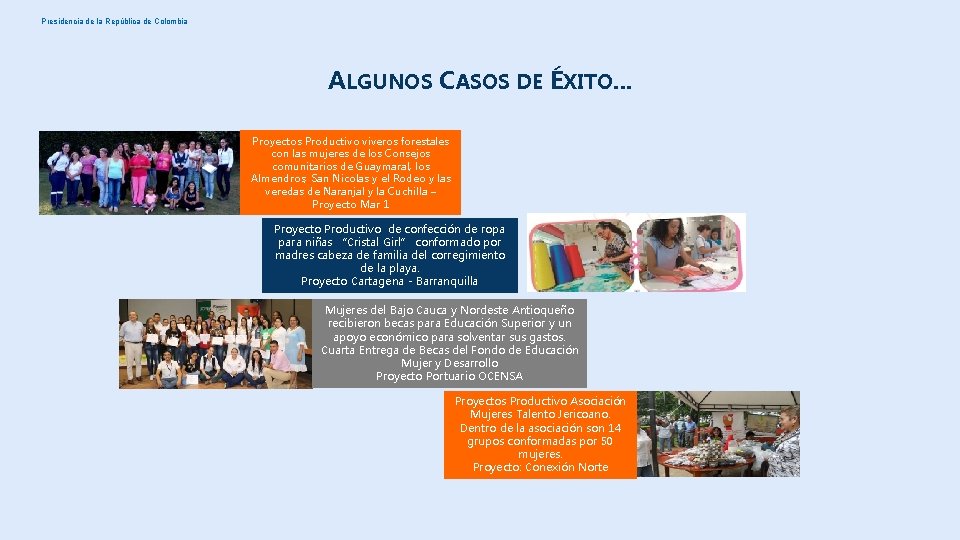 Presidencia de la República de Colombia ALGUNOS CASOS DE ÉXITO… Proyectos Productivo viveros forestales Presidencia de la República de Colombia ALGUNOS CASOS DE ÉXITO… Proyectos Productivo viveros forestales