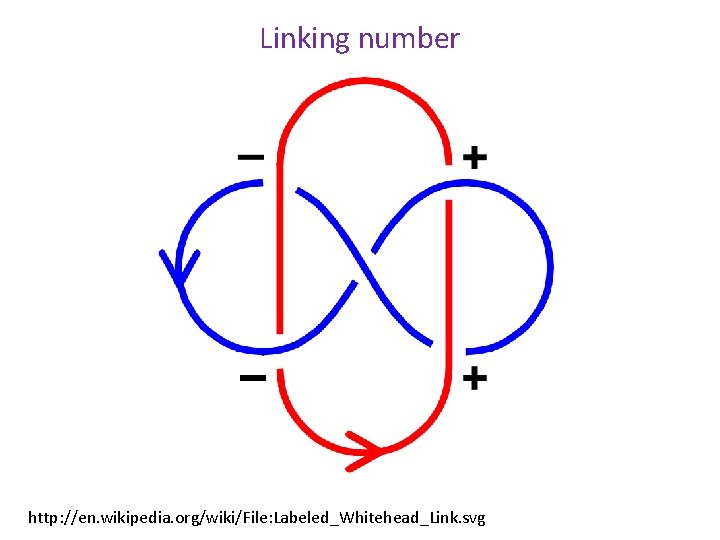 Linking number http: //en. wikipedia. org/wiki/File: Labeled_Whitehead_Link. svg 