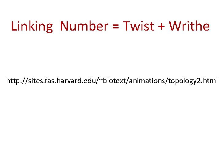 Linking Number = Twist + Writhe http: //sites. fas. harvard. edu/~biotext/animations/topology 2. html 