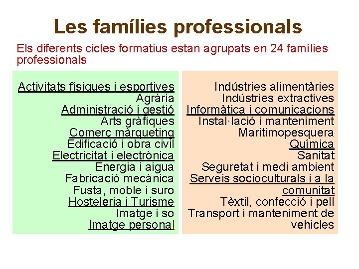 Les famílies professionals Els diferents cicles formatius estan agrupats en 24 famílies professionals Activitats