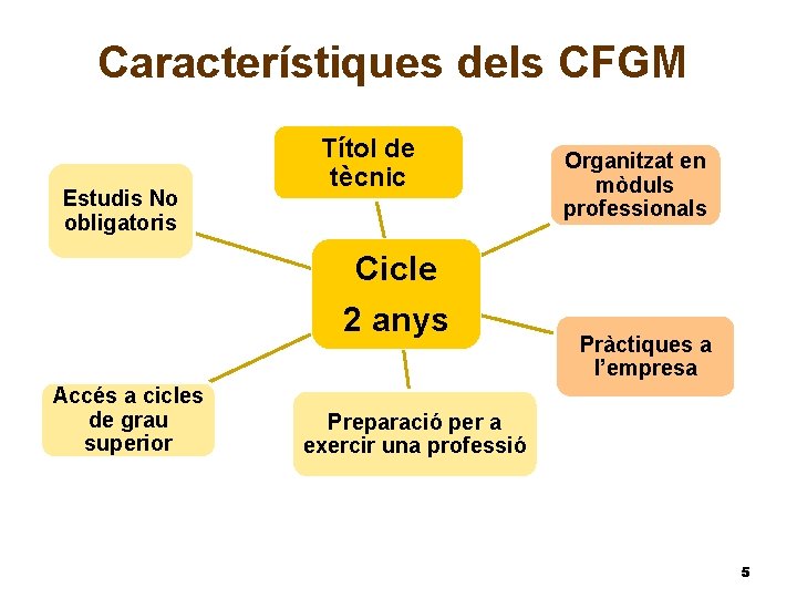 Característiques dels CFGM Estudis No obligatoris Títol de tècnic Organitzat en mòduls professionals Cicle