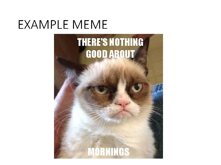 EXAMPLE MEME THERE'S NOTHING GOOD ABOUT MORNINGS 