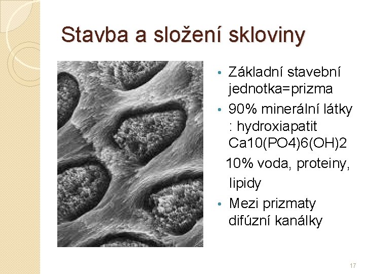 Stavba a složení skloviny Základní stavební jednotka=prizma • 90% minerální látky : hydroxiapatit Ca