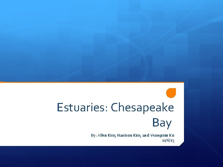 Estuaries: Chesapeake Bay By: Allen Kim, Harrison Kim, and Yeongmin Ko 11/6/13 
