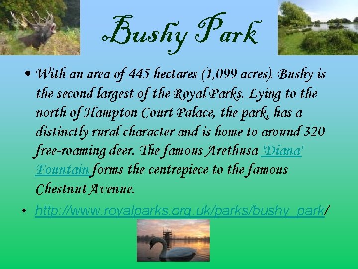 Bushy Park • With an area of 445 hectares (1, 099 acres). Bushy is