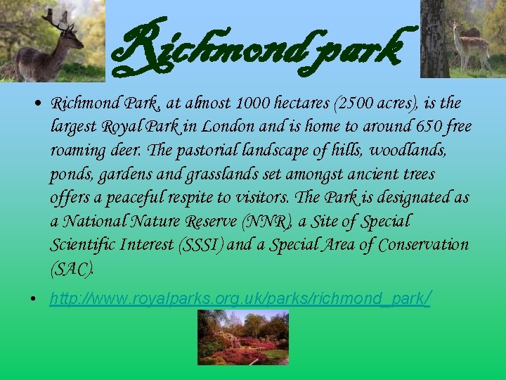 Richmond park • Richmond Park, at almost 1000 hectares (2500 acres), is the largest
