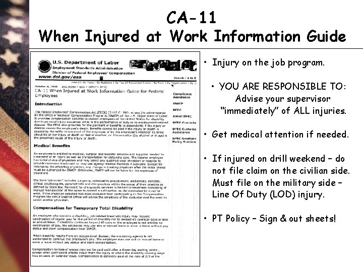 CA-11 When Injured at Work Information Guide • Injury on the job program. •