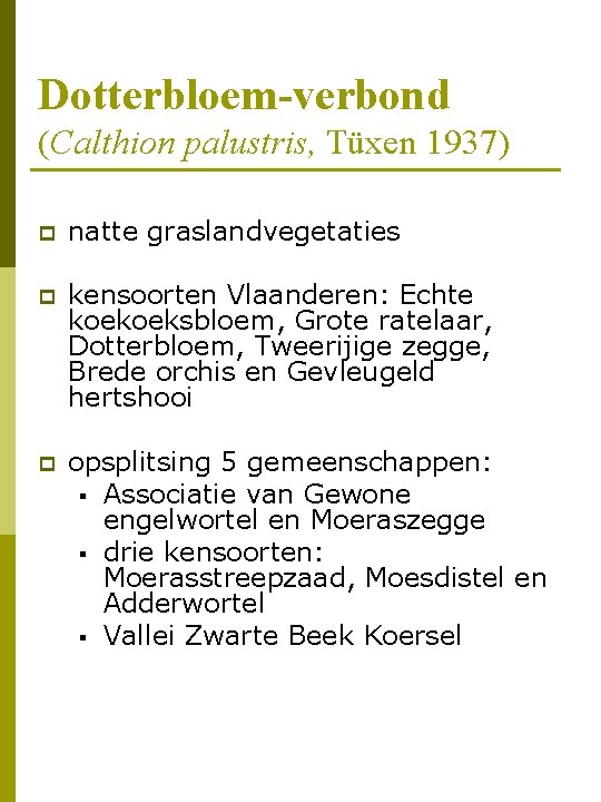 Dotterbloem-verbond (Calthion palustris, Tüxen 1937) p natte graslandvegetaties p kensoorten Vlaanderen: Echte koekoeksbloem, Grote