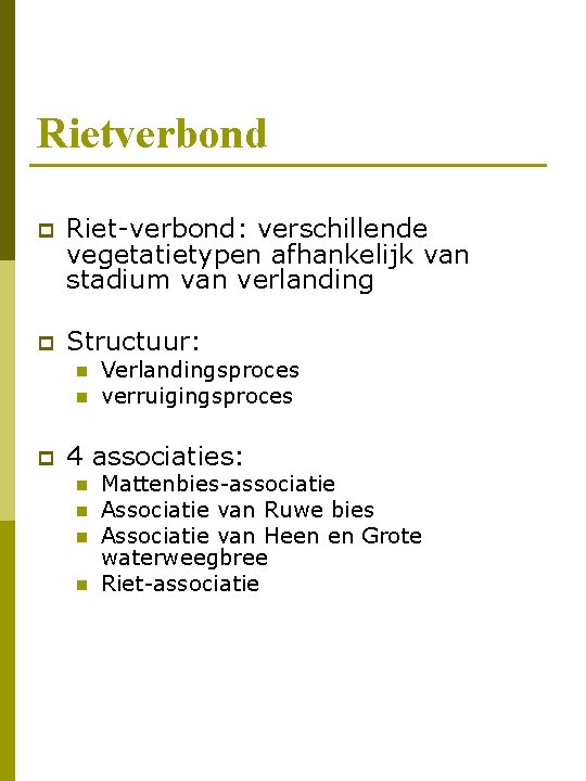 Rietverbond p Riet-verbond: verschillende vegetatietypen afhankelijk van stadium van verlanding p Structuur: n n