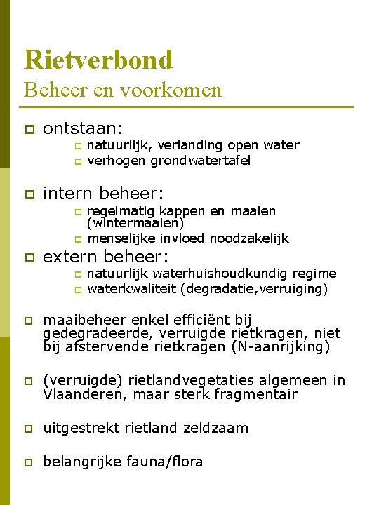 Rietverbond Beheer en voorkomen p ontstaan: p p p intern beheer: p p p