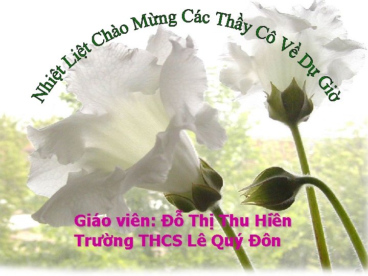 Giáo viên: Đỗ Thị Thu Hiền Trường THCS Lê Quý Đôn 