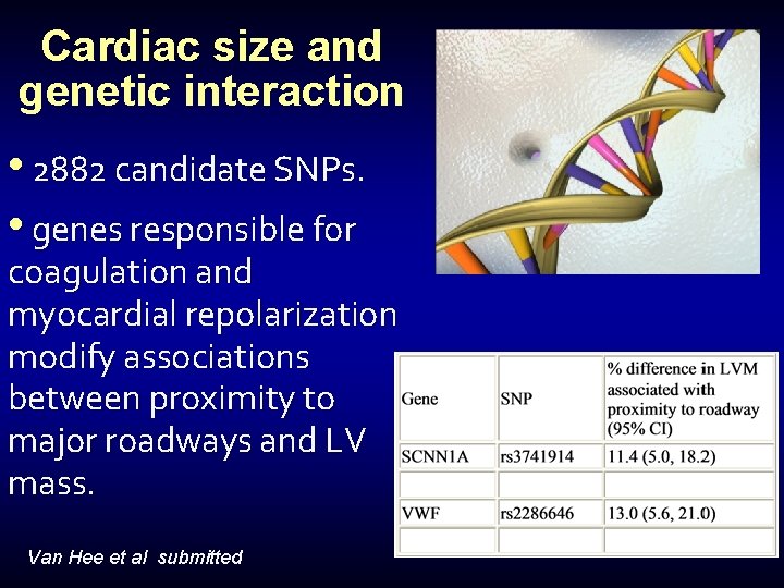 Cardiac size and genetic interaction • 2882 candidate SNPs. • genes responsible for coagulation