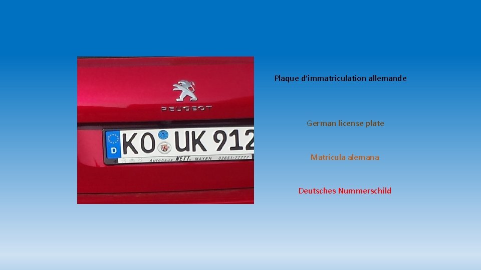 Plaque d’immatriculation allemande German license plate Matrícula alemana Deutsches Nummerschild 