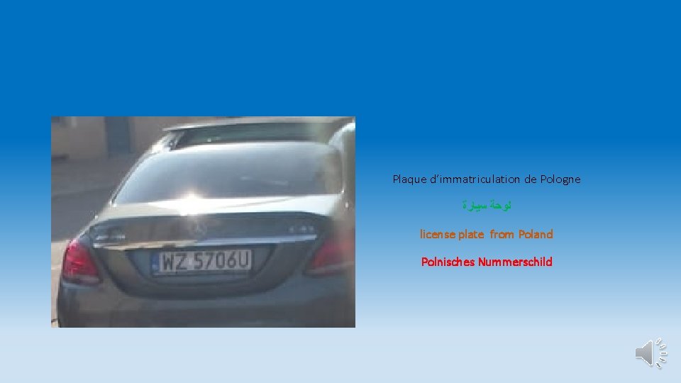 Plaque d’immatriculation de Pologne ﺳﻴﺎﺭﺓ ﻟﻮﺣﺔ license plate from Poland Polnisches Nummerschild 