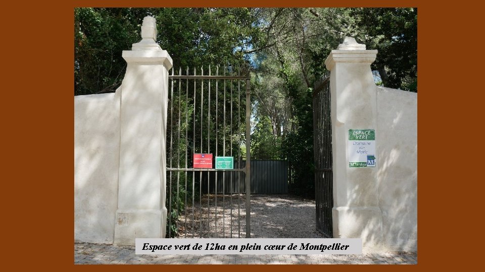 Espace vert de 12 ha en plein cœur de Montpellier 