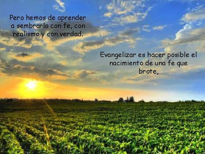 Pero hemos de aprender a sembrarlo con fe, con realismo y con verdad. Evangelizar