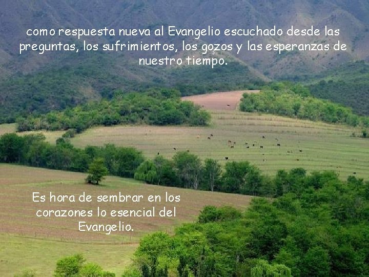 como respuesta nueva al Evangelio escuchado desde las preguntas, los sufrimientos, los gozos y