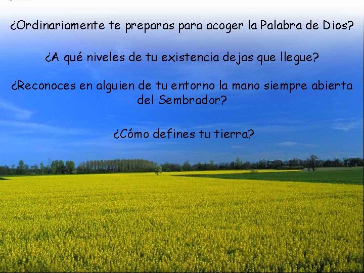 ¿Ordinariamente te preparas para acoger la Palabra de Dios? ¿A qué niveles de tu