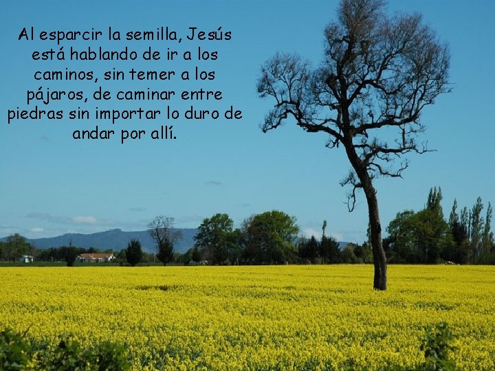 Al esparcir la semilla, Jesús está hablando de ir a los caminos, sin temer