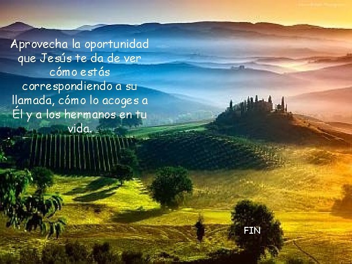 Aprovecha la oportunidad que Jesús te da de ver cómo estás correspondiendo a su