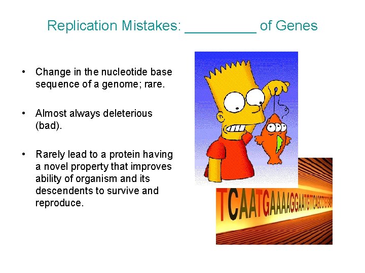 Replication Mistakes: _____ of Genes • Change in the nucleotide base sequence of a