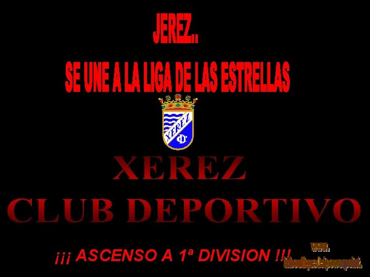 ¡¡¡ ASCENSO A 1ª DIVISION !!! 