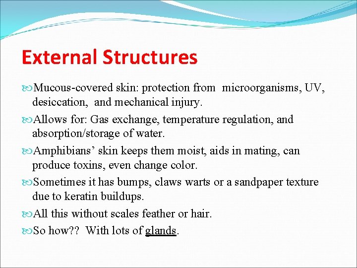 External Structures Mucous-covered skin: protection from microorganisms, UV, desiccation, and mechanical injury. Allows for: