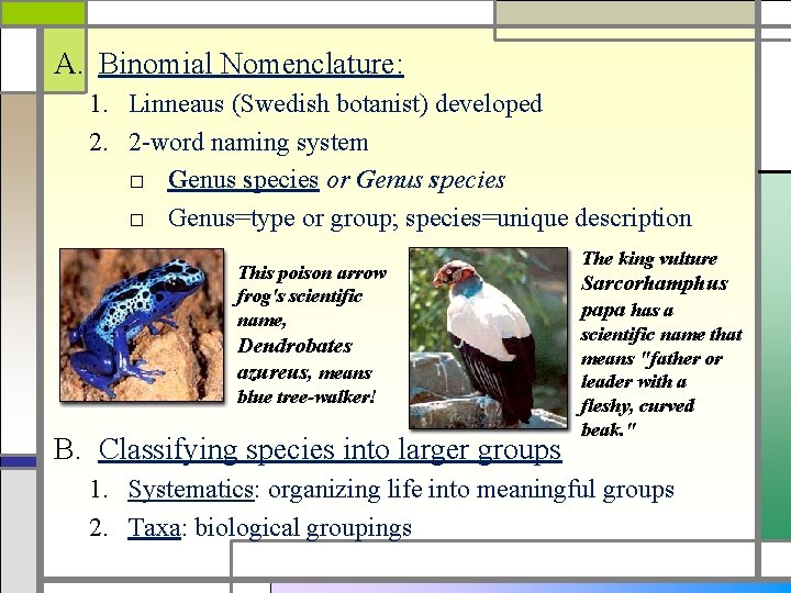 A. Binomial Nomenclature: 1. Linneaus (Swedish botanist) developed 2. 2 -word naming system □