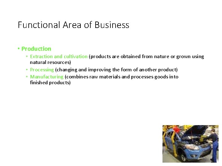 Functional Area of Business • Production • Extraction and cultivation (products are obtained from