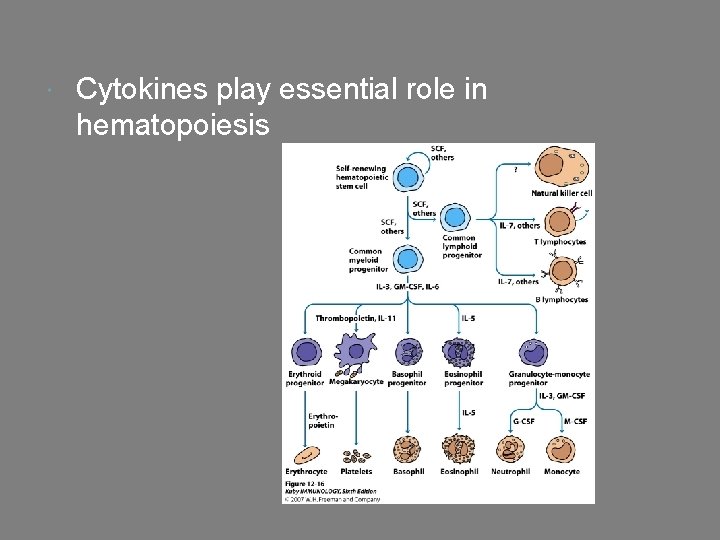  Cytokines play essential role in hematopoiesis 