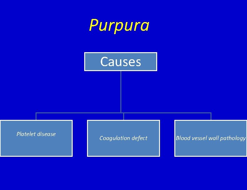 Purpura Causes Platelet disease Coagulation defect Blood vessel wall pathology 