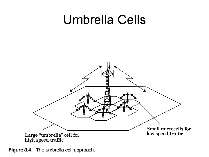 © 2002 Pearson Education, Inc. Commercial use, distribution, or sale prohibited. Umbrella Cells 