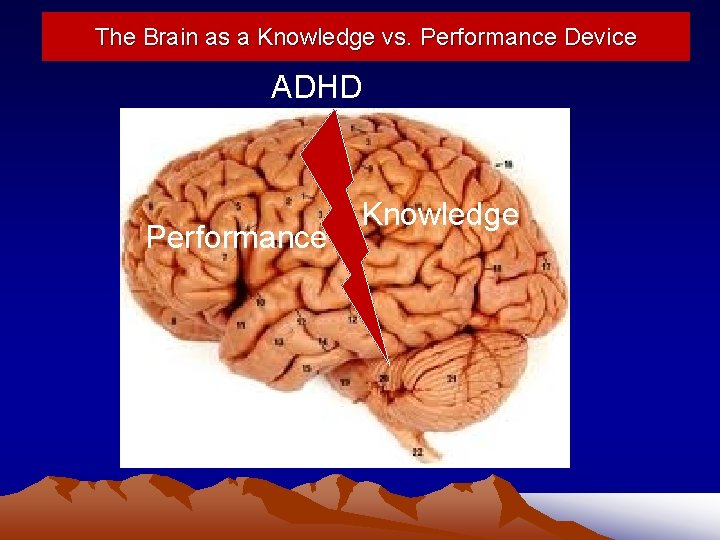 The Brain as a Knowledge vs. Performance Device ADHD Performance Knowledge 