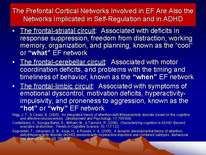 The Prefontal Cortical Networks Involved in EF Are Also the Networks Implicated in Self-Regulation