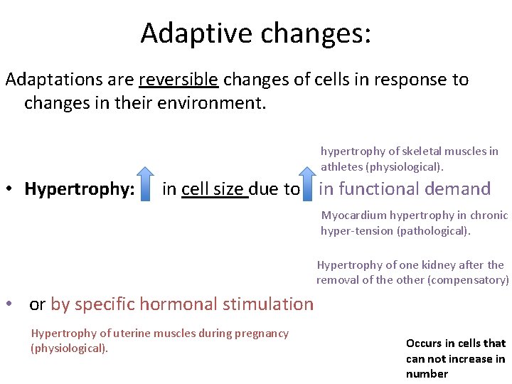 Adaptive changes: Adaptations are reversible changes of cells in response to changes in their