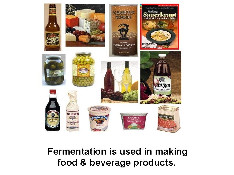 Fermentation is used in making food & beverage products. 