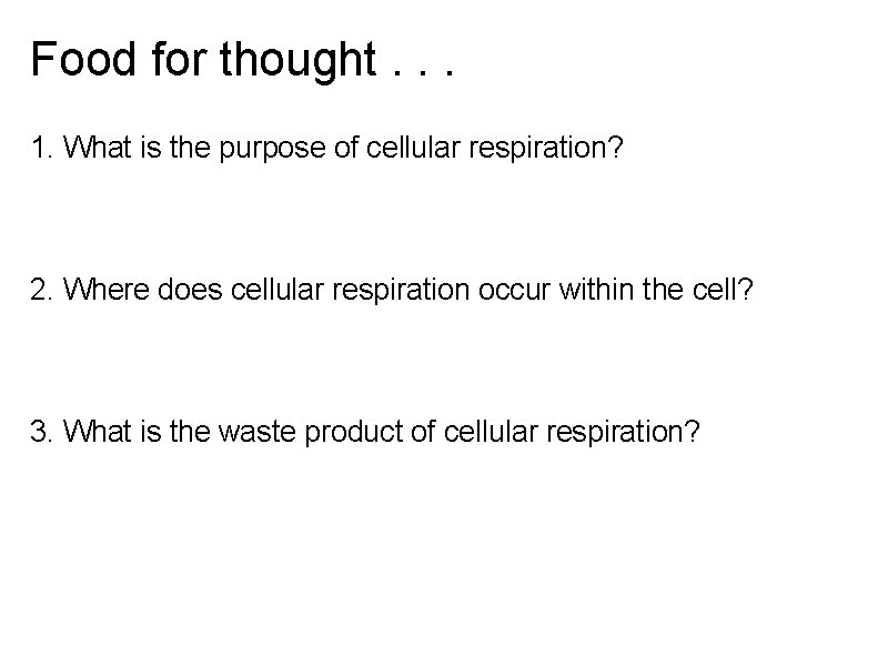 Food for thought. . . 1. What is the purpose of cellular respiration? 2.