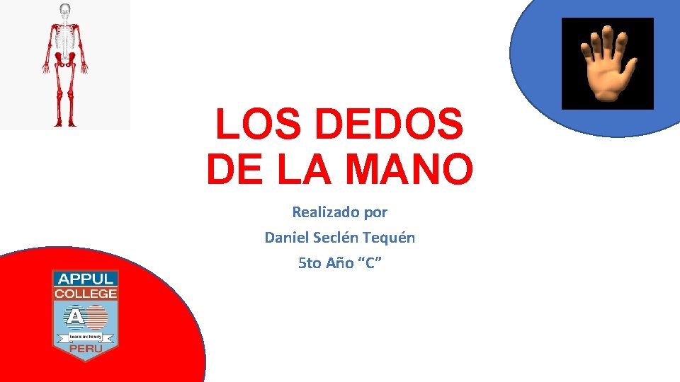 LOS DEDOS DE LA MANO Realizado por Daniel Seclén Tequén 5 to Año “C”