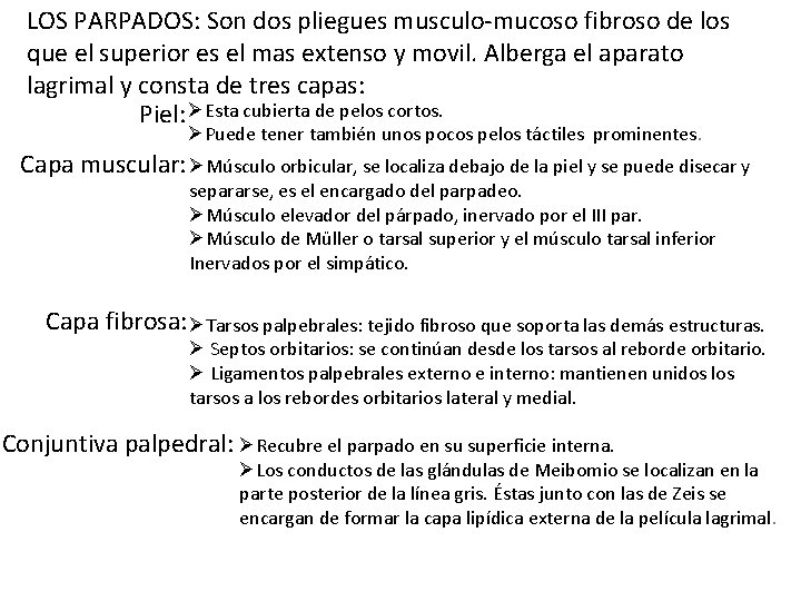 LOS PARPADOS: Son dos pliegues musculo-mucoso fibroso de los que el superior es el