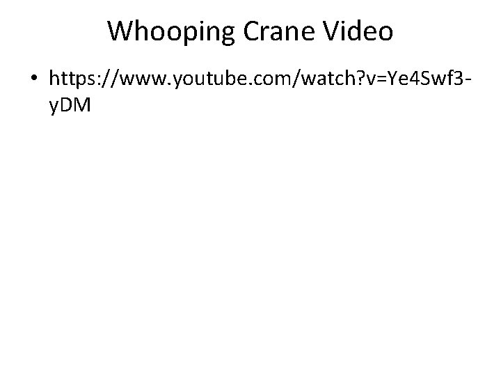 Whooping Crane Video • https: //www. youtube. com/watch? v=Ye 4 Swf 3 y. DM