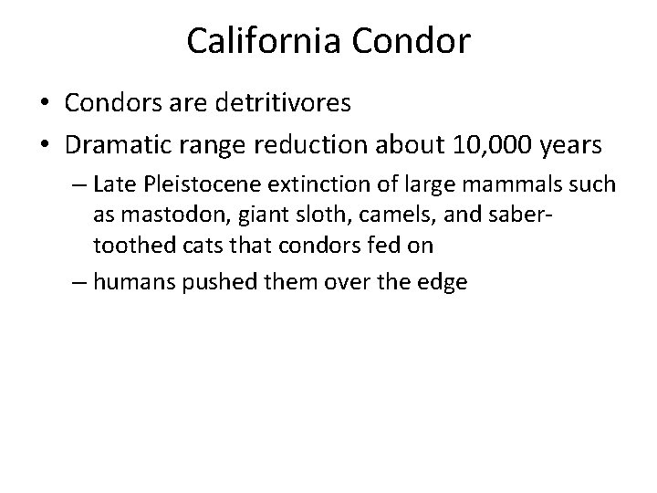 California Condor • Condors are detritivores • Dramatic range reduction about 10, 000 years