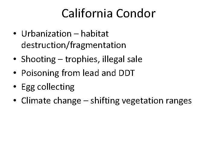 California Condor • Urbanization – habitat destruction/fragmentation • Shooting – trophies, illegal sale •