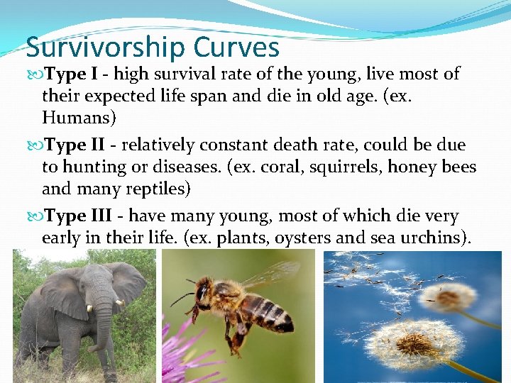 Survivorship Curves Type I - high survival rate of the young, live most of