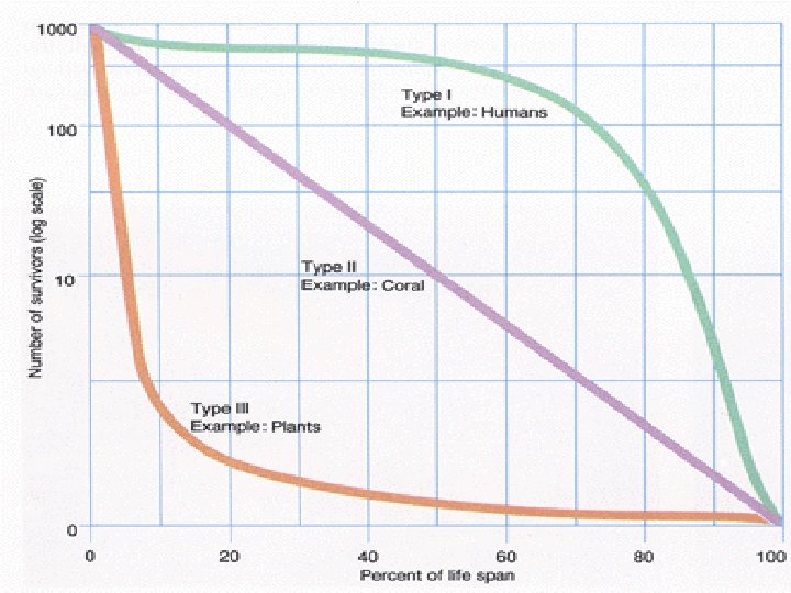 Survivorship Curves 