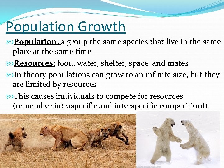 Population Growth Population: a group the same species that live in the same place