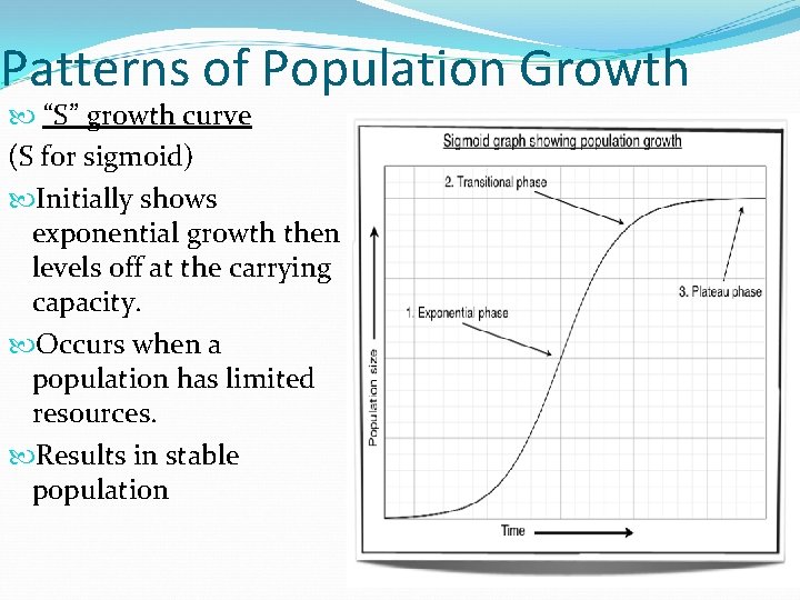 Patterns of Population Growth “S” growth curve (S for sigmoid) Initially shows exponential growth