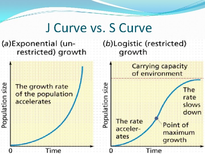J Curve vs. S Curve 