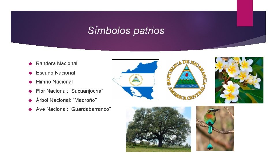 Símbolos patrios Bandera Nacional Escudo Nacional Himno Nacional Flor Nacional: “Sacuanjoche” Árbol Nacional: “Madroño”