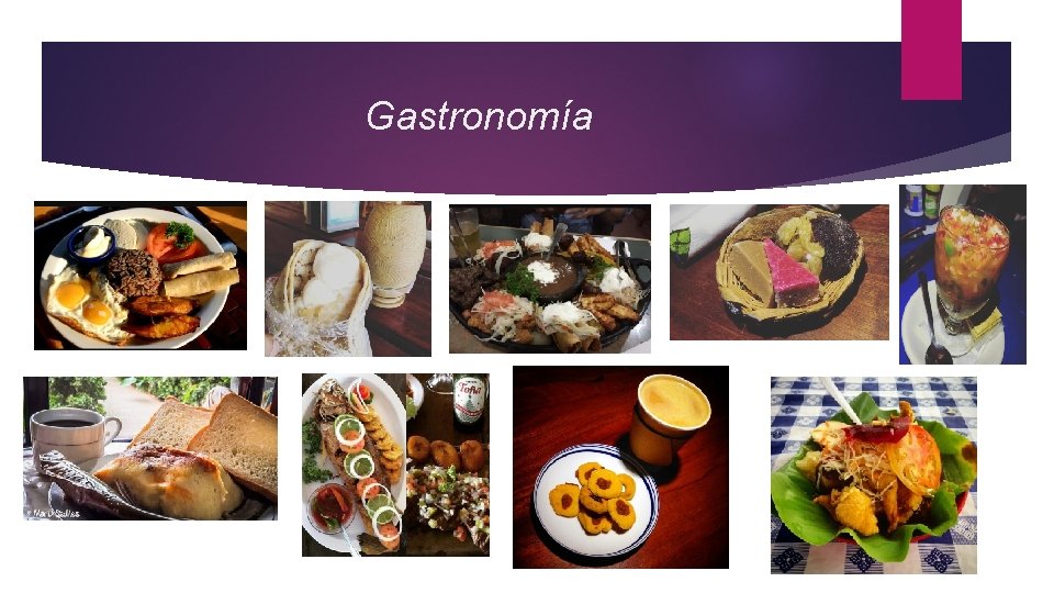 Gastronomía 
